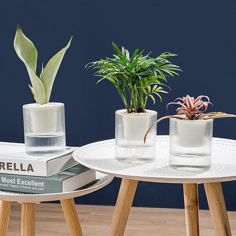 Aomeiyou Transparent Self-Watering Hydroponic Planter