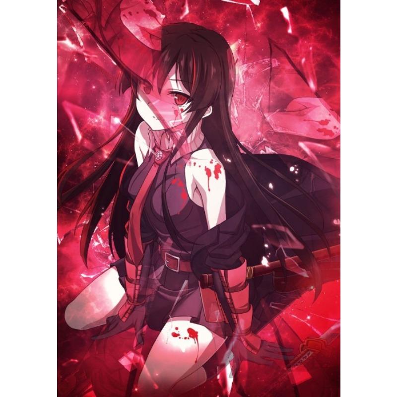Japanese Anime Akame Ga Kill Akame Poster Anime Character Wall Decor Canvas Print Decoration for Game Room Home Wall Art Picture