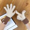 New cashmere gloves for women's winter new cashmere warm thickened cold-proof finger wool gloves tide