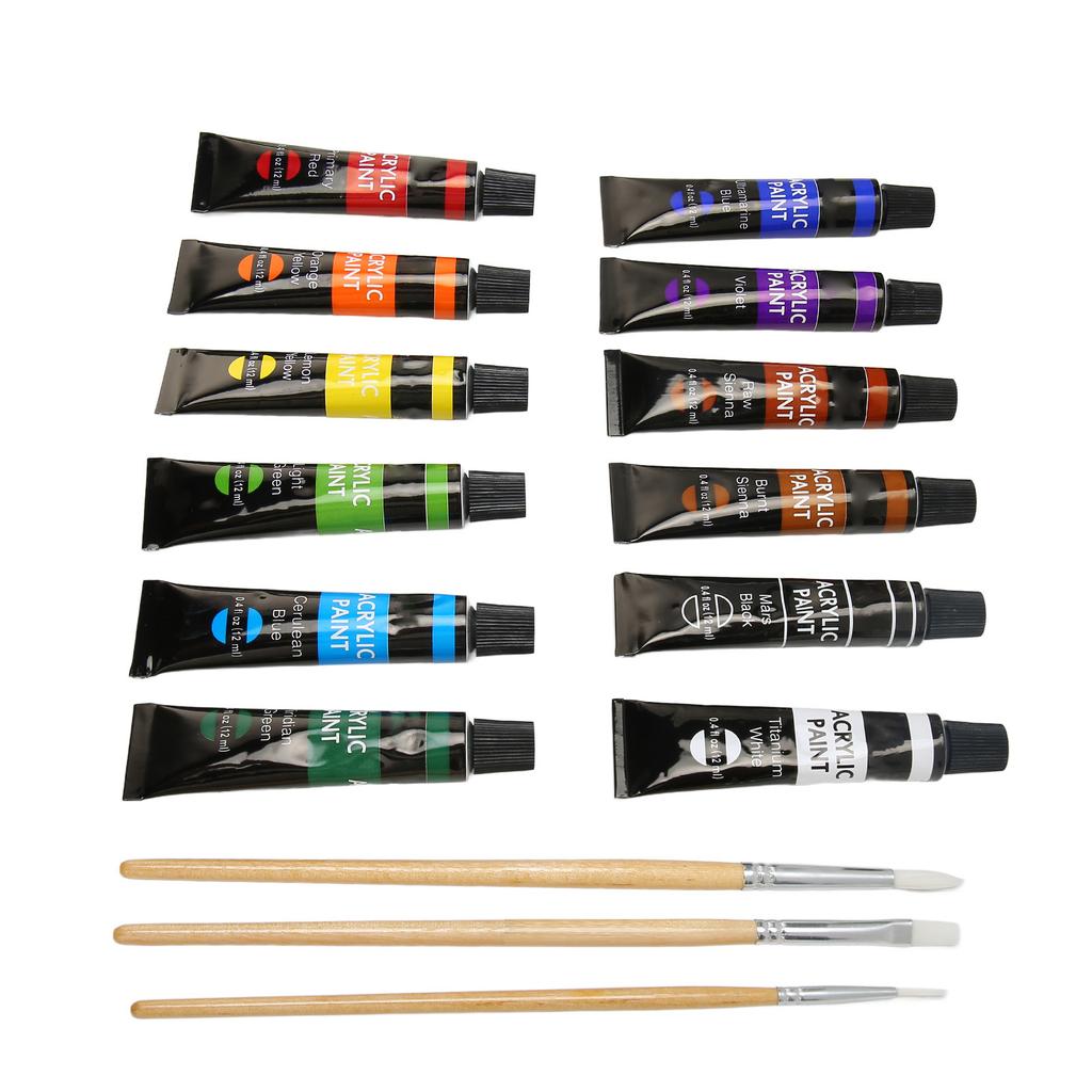 Acrylic Paint Set 12 Color Art Doodle Acrylic Craft Paint Set with 3 Brushes for Adults Kids