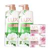 Mugwort Camellia Refreshing Shower Gel & Antibacterial Soap Bundle
