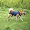Legs Support Dog Back Brace Various Sizes Adjustable Puppy Sling Carrier Breathable Pet Assist Belt Dog Lift Harness Recovery