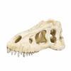 Lifelike 3D Skull Reptile Cave Hollow Out Reptile Climbing Shelter  Water Grass Landscape