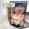 Teddy Bear with Soap Rose Bouquet Gift Box for Valentine's, Birthday, or 520 Day for Girlfriend