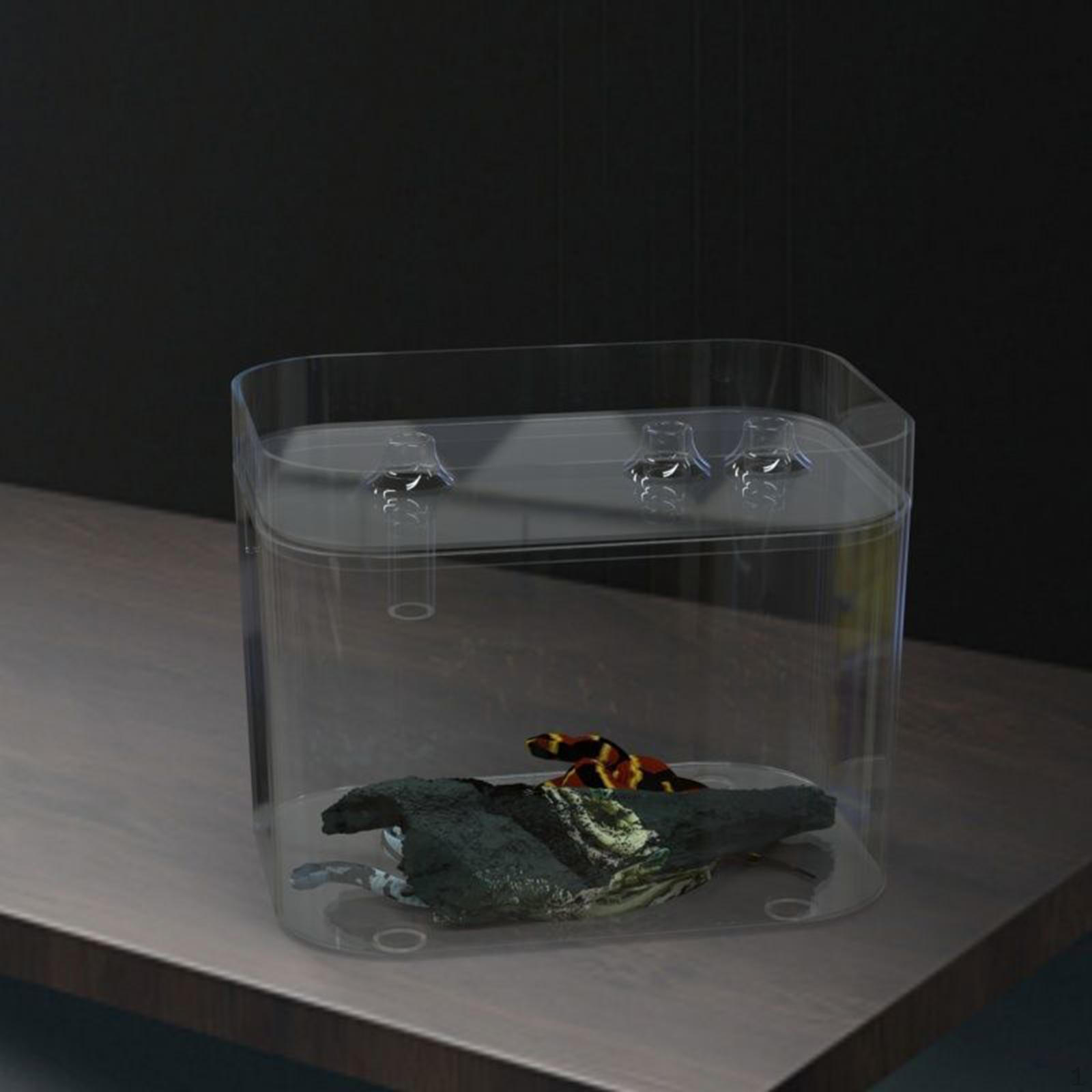 

Reptile Feeding Box Hatching Container Fishtank Reusable Terrarium Small Snake Breeding