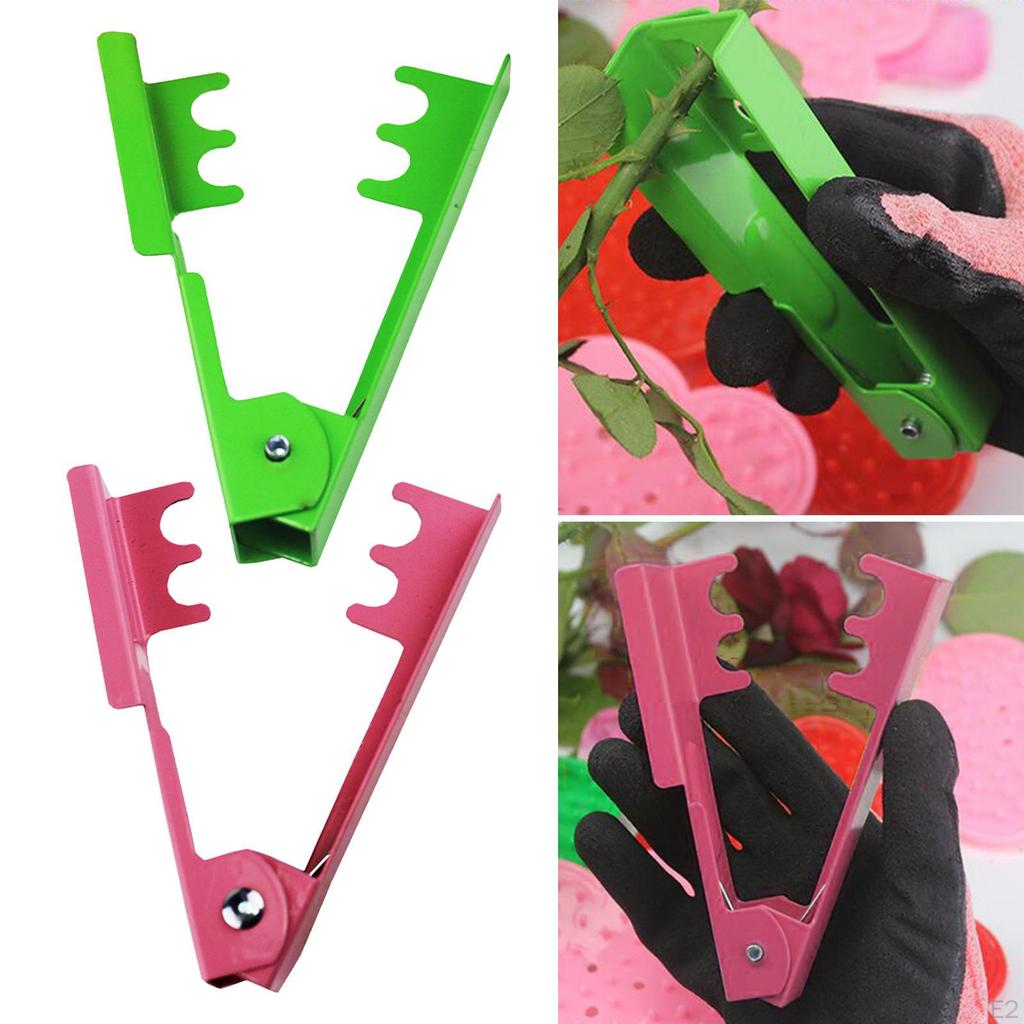 Durable Thorn and Stripping Tool Stab Arrangement Removal Clip for Garden