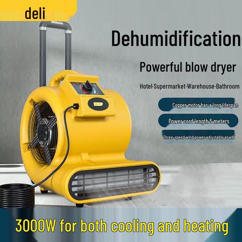 Deli 3000W Floor Blower Dryer CN plug (adapter included)