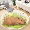 1 Stück Wasserschwein, Schläfriger Stuhl Teppich für das Büro, Weiche Flanell-Überwurfmatte, Perfekt für Büro, Feiertagsparty Dekoration Wahl yy260209013