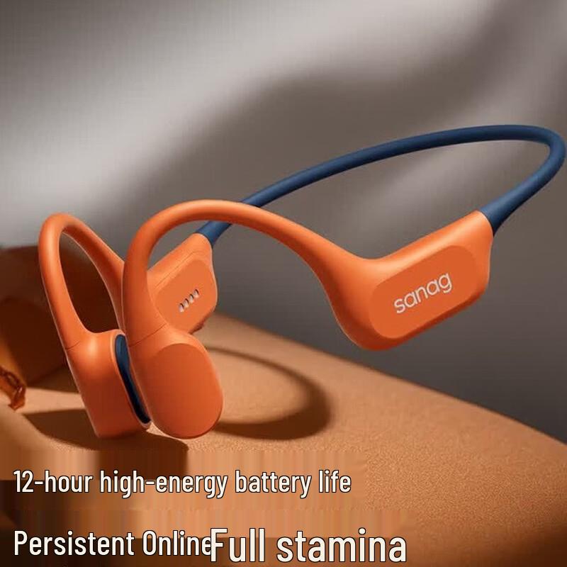 SANAG B77S Bone Conduction Swimming Headset
