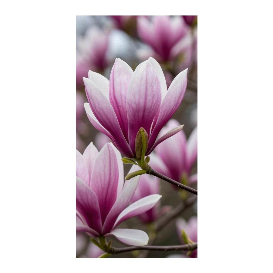 Orchidee Große Größe Diamantmalerei Blumen DIY Voll Platz/Rundbohrer Strass Stickerei Florales Mosaik Kreuzstich-Sets