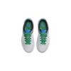 Nike Dunk Low PS Pure Platinum Photo Blue Kids Sneakers White Cool-Grey Light-Photo-Blue DH9756-004