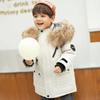 Children's Clothing, Boys' Cotton Jacket, Down Cotton Winter Clothing, Middle-aged and Older Children's Cotton Jacket, Thick and Warm Cotton Jacket