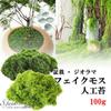 Artificial Moss 100g Bonsai Fake Moss Green Potted Garden Artificial Flowers Houseplants Model Diorama S.fields.inc (Green)