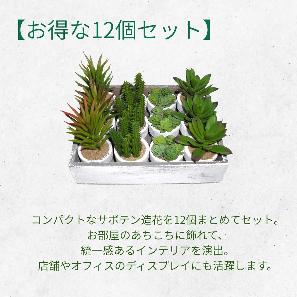 12-Piece Mini Cactus Assortment Set, Faux Greenery, Perfect for Home Decor, Desks, Kitchen Counters, and Store Decor. Perfect for Everlasting Plants.