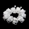 White Beekeping Rearing Cup Plastic Bee Roller Cages for 10pcs/lset for Raising Bees