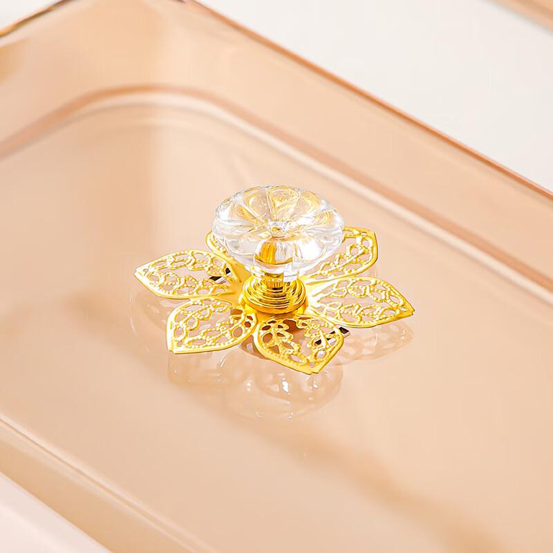 Large Transparent Food Display Cover