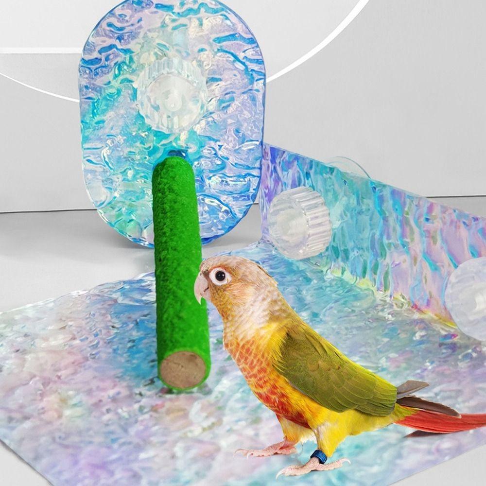 Scratch Resistant Parrot Perching Stand Wear Resistant Bird Stand Rod Toys  Pet Accessories