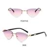 Unisex Triangular Unique Temples Shades For Women Men Cat Eye Sunglasses Cut-Edge Punk Hip-Hop Sun Glasses UV400 Protection
