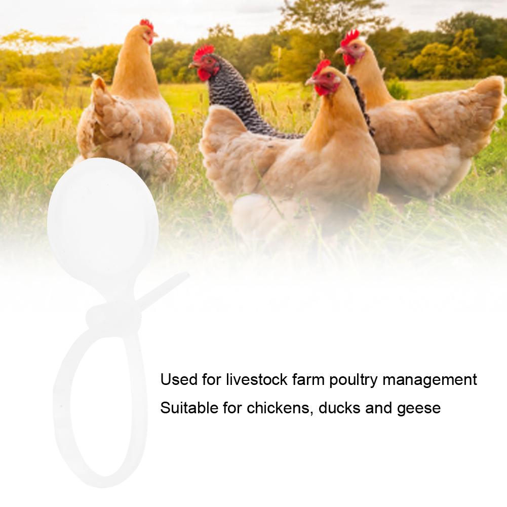 100PCS PP Anti Falling Durable Good Toughness Bird Foot Ring with Cover for Chickens Ducks Geese Livestock Farm