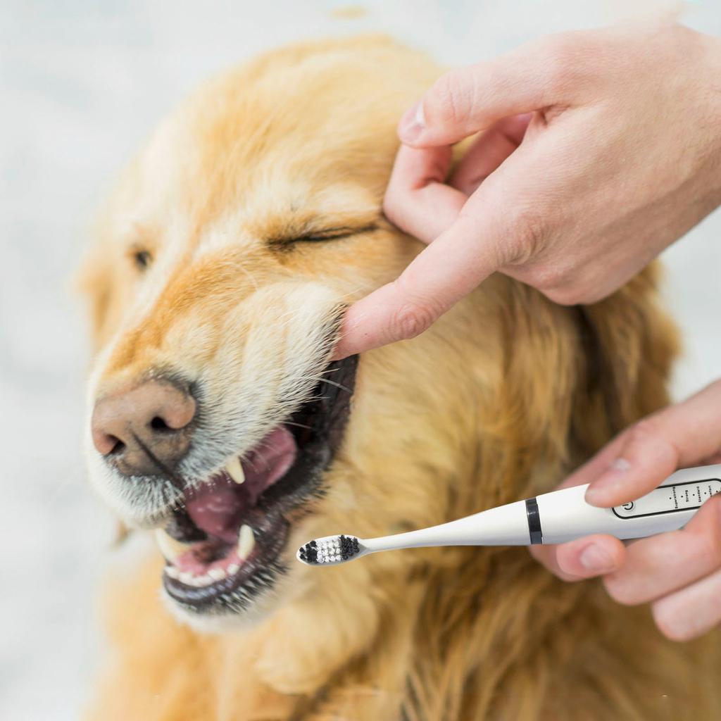 Plaque Remover For Teeth - Electric Toothbrush For Dogs Pet Brush Set, Effective Care Of Teeth, Pet Must Have, Help Dog Oral Health.