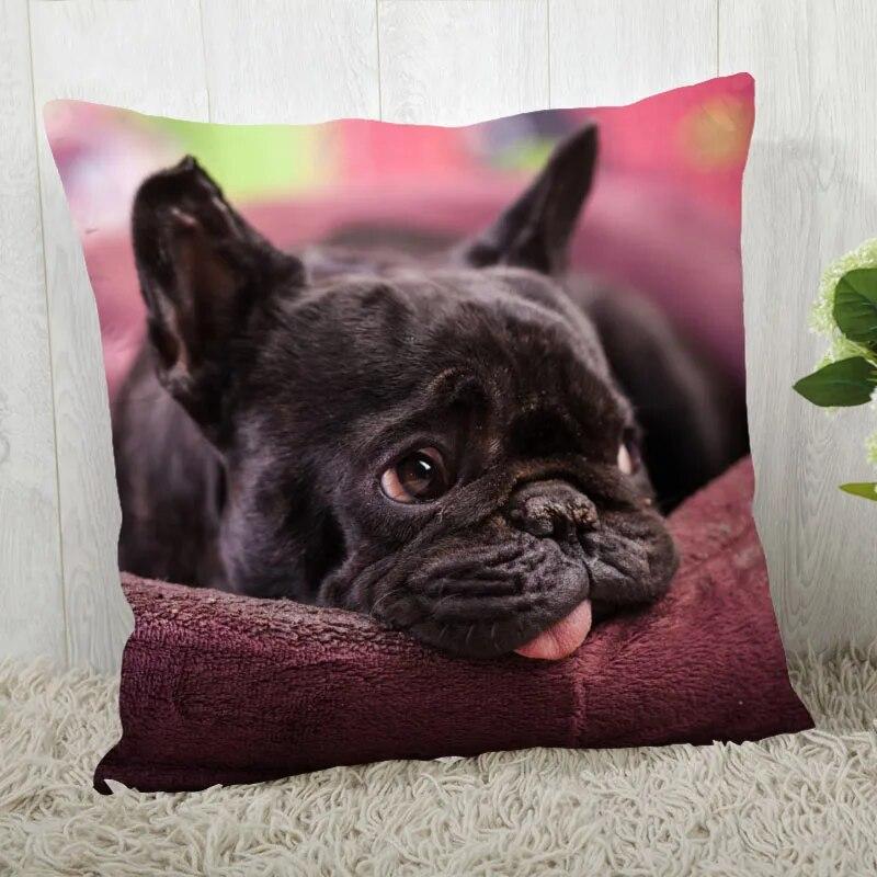 Pillowcase Bulldog  Modern Home Living Room Decoration