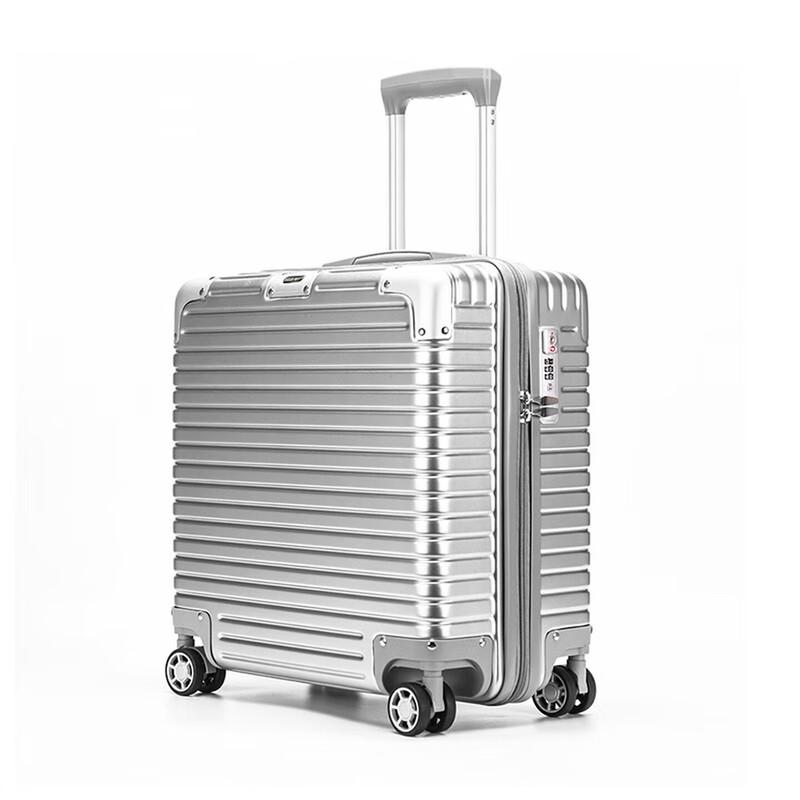 DREAMGIFT Business Travel Carry-on Spinner Luggage