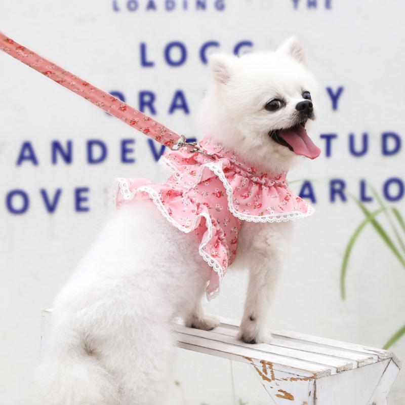 Ensemble de vêtements avec sangle de poitrine pour animaux de compagnie, corde de Traction, confortable, respirant, mignon, dos en dentelle florale
