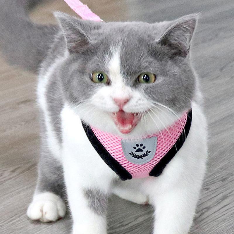 Tank Top Style Dog Leash, Breathable Chest Harness Dog Walking Tool, Pet Outdoor Leash, Suitable For Small And Medium-Sized Dogs