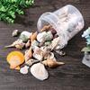 Beach Seashells Decoration Starfish Sea Snail Coral Ornament for Wedding Party