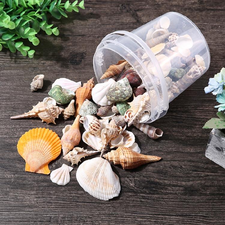 Beach Seashells Decoration Starfish Sea Snail Coral Ornament for Wedding Party