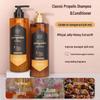 Champú Kerasys Propolis Rojo