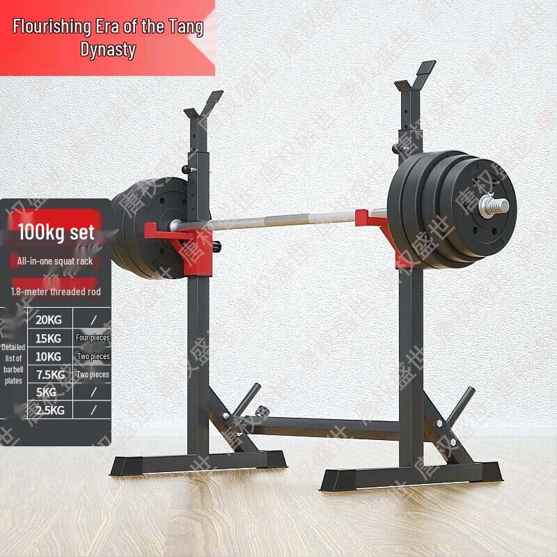 Multi-functional Barbell Squat Rack & Training System