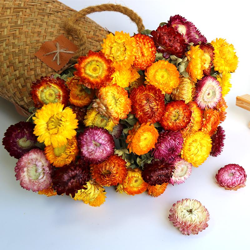 Daisy Dried Flower Bouquet for Living Room and Bedroom Décor - Natural Yunnan Flowers for Display or Photo Props