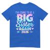 Im Going To Be A Big Sister Again 2026 Baby Announceunisext TShirt