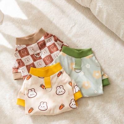 Abbigliamento e scarpe – Pullover per cani
