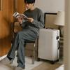 ITO Spinner Lightweight Carry-on Suitcase