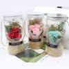 Romantic Eternal Rose Never Withered Rose Night Light Ing Bottle Preserved Flowers Soap Rose