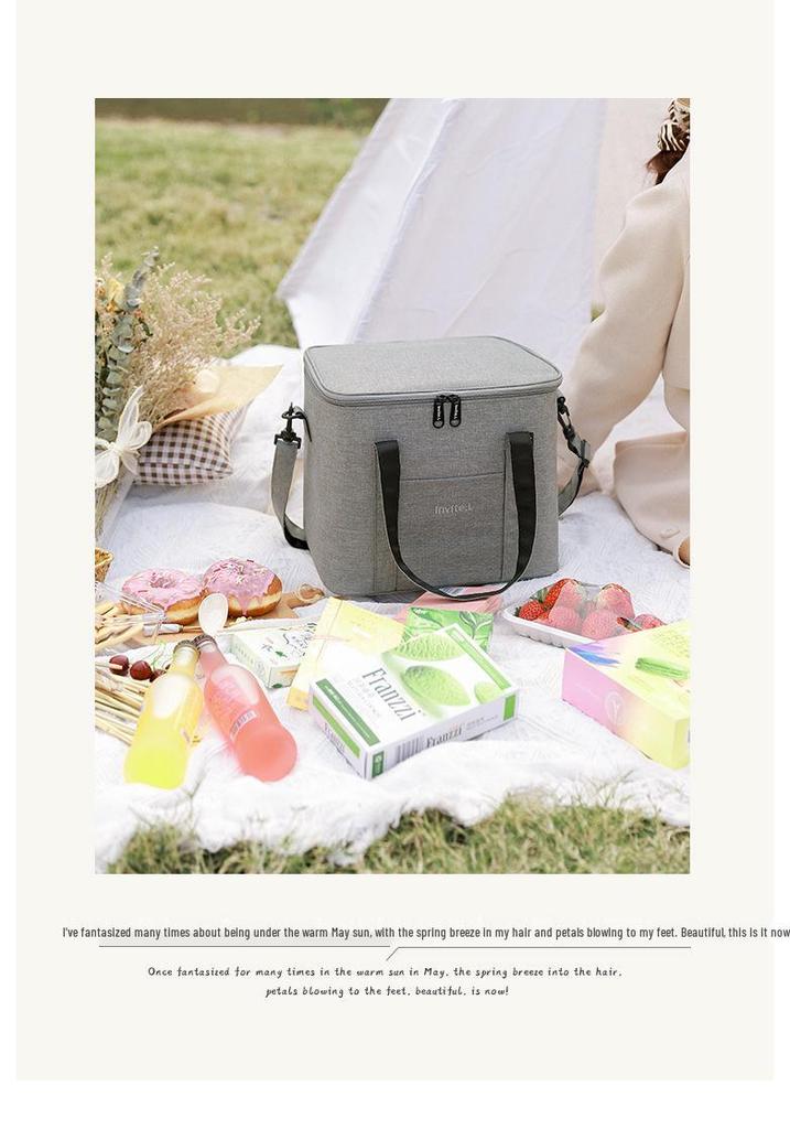 Bento Insulated Lunch Bag with Shoulder Strap and Ice Pack, Thickened Aluminum Foil Picnic Bag Enlarged for Student Storage