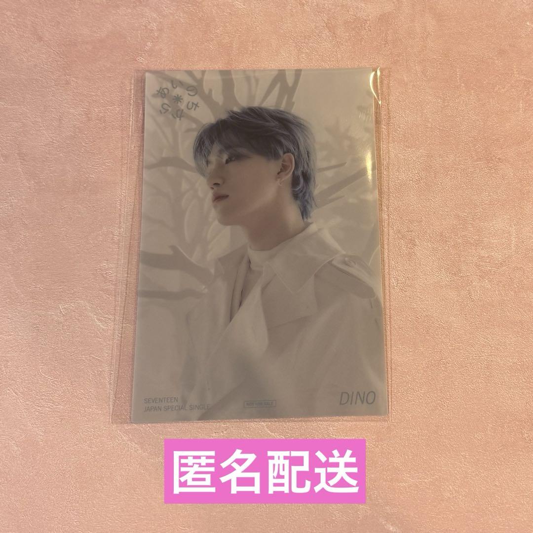 

[USED] SEVENTEEN Ainochikara Tower Records Bonus Clear Postcard Dino