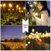 Waterproof Outdoor Solar Firefly Lights for Garden and Lawn Decoration