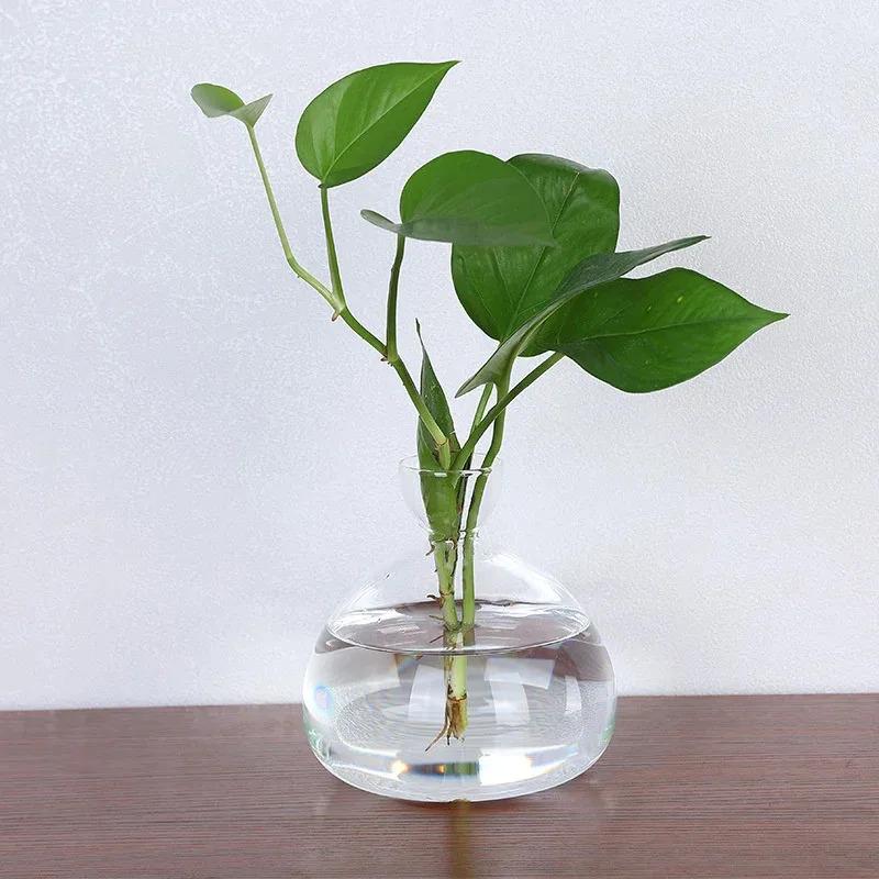 Transparent Avocado Seed Culture Kit - Glass Vase for Plant Starters, Perfect for Gardening Enthusiasts