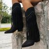 2024 Plus Size Women's Shoes Knee-High Women's Boots Pointed Toe Modern Boots Women Rivet Fringe Back Zip Med Heel Shoes Women