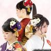 2-Piece Hair Accessory Set for Formal Occasions - Red, White, Purple Chirimen Crafting with Cherry Blossoms, Mizuhiki, Rhinestones - Perfect for