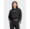 Future Icons 3-Stripes Hoodie