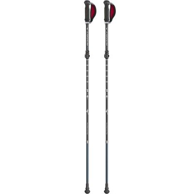 Mizuno Nordic Walking Pieghevole Carbonio Set Bastoncini, 2, Unisex, Blu,
