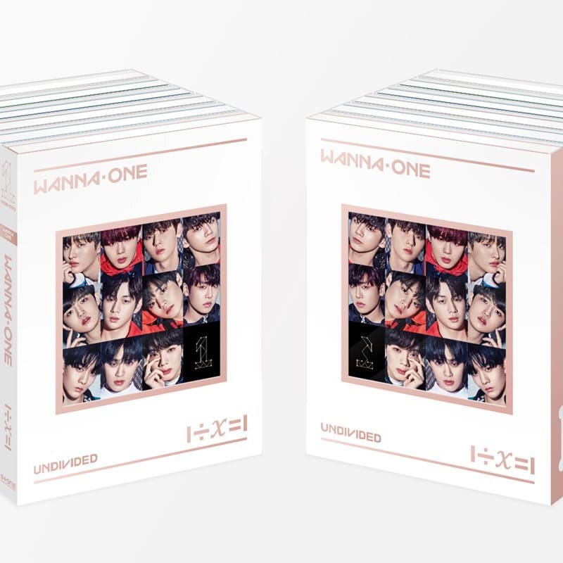 

Wanna One - 1÷=1 (UNDIVIDED) [Randomly sent out of 6 types]