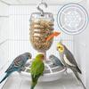 Splash-proof Six Hole Plate Bird Feeder Transparent Parrot Food Dispenser  Outdoor