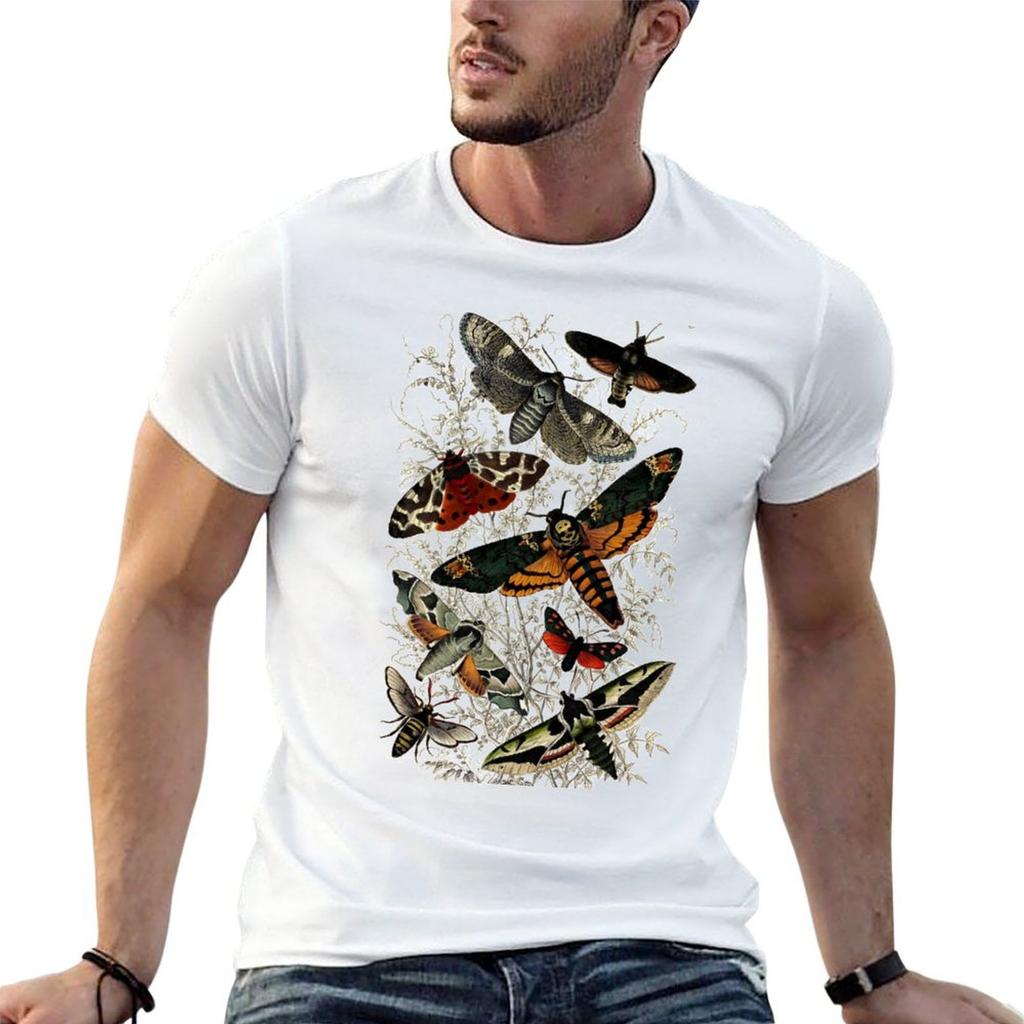 Victorian Moth Insects illustration T-Shirt mens graphic t shirts t shirt personalised t shirts