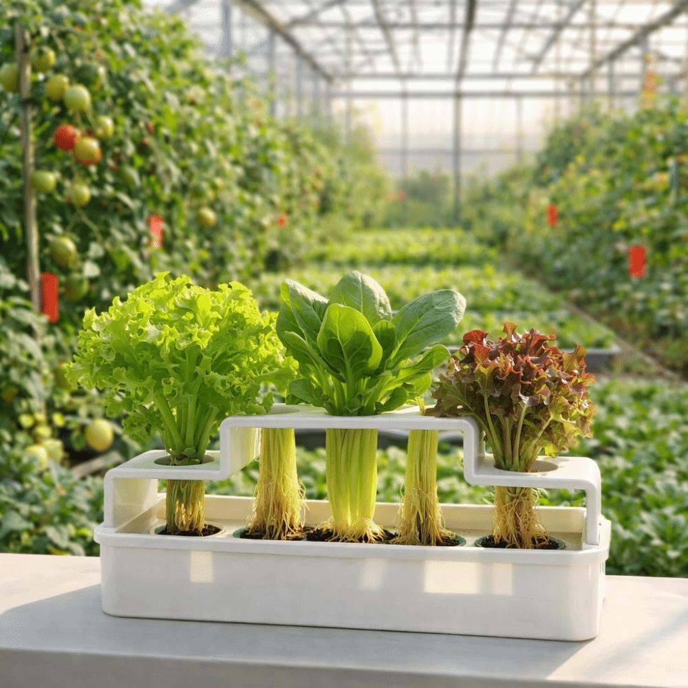 Ventilated Cultivation Pot Plastic Soilless Cultivation Pot  Coriander Planting
