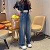 Women's 2026 Wide-Leg Denim Pants: Curved Knife Design, Spring Collection, Plus Size, Ideal for Pear-Shaped Body